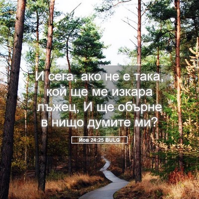 Picture 05 - Йов 24:25 BULG - И сега, ако не е така, кой ще - Bible Verse Picture