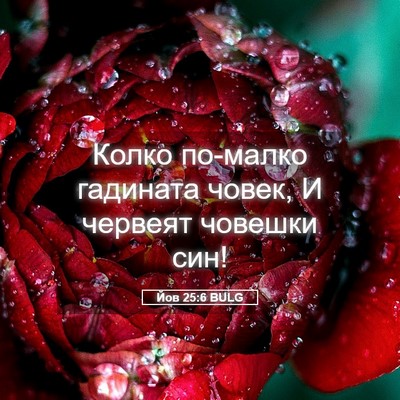 Picture 05 - Йов 25:6 BULG - Колко по-малко гадината - Bible Verse Picture