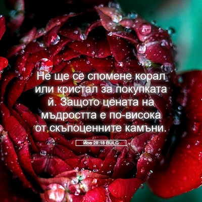Picture 05 - Йов 28:18 BULG - Не ще се спомене корал или - Bible Verse Picture