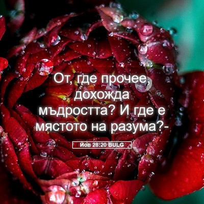 Picture 05 - Йов 28:20 BULG - От, где прочее, дохожда - Bible Verse Picture