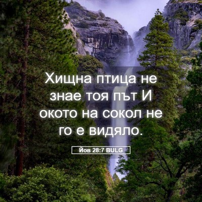 Picture 05 - Йов 28:7 BULG - Хищна птица не знае тоя път - Bible Verse Picture