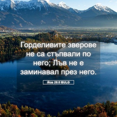 Picture 05 - Йов 28:8 BULG - Горделивите зверове не са - Bible Verse Picture