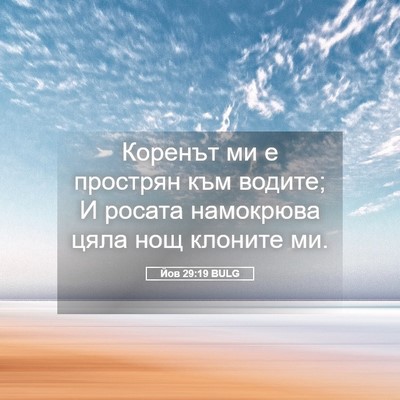 Picture 05 - Йов 29:19 BULG - Коренът ми е прострян към - Bible Verse Picture
