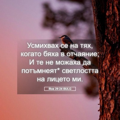 Picture 05 - Йов 29:24 BULG - Усмихвах се на тях, когато - Bible Verse Picture