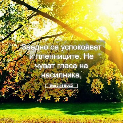 Picture 05 - Йов 3:18 BULG - Заедно се успокояват и - Bible Verse Picture