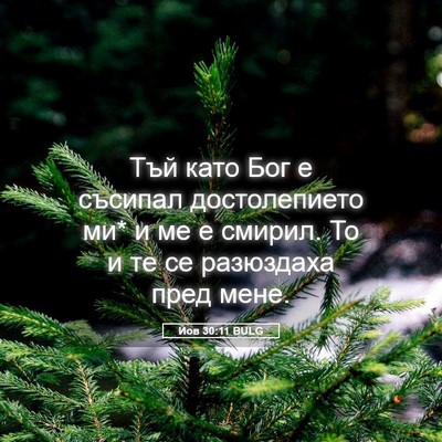 Picture 05 - Йов 30:11 BULG - Тъй като Бог е съсипал - Bible Verse Picture