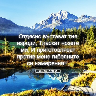 Picture 05 - Йов 30:12 BULG - Отдясно въстават тия - Bible Verse Picture