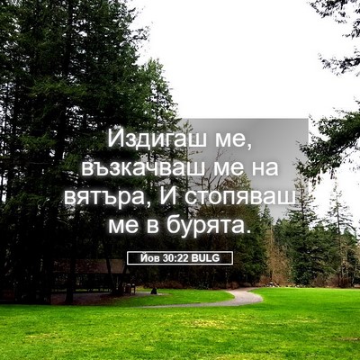 Picture 05 - Йов 30:22 BULG - Издигаш ме, възкачваш ме на - Bible Verse Picture
