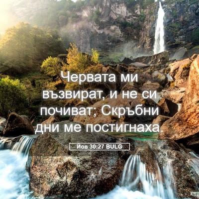 Picture 05 - Йов 30:27 BULG - Червата ми възвират, и не - Bible Verse Picture