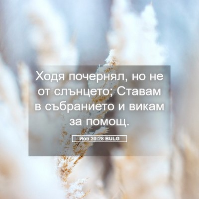 Picture 05 - Йов 30:28 BULG - Ходя почернял, но не от - Bible Verse Picture