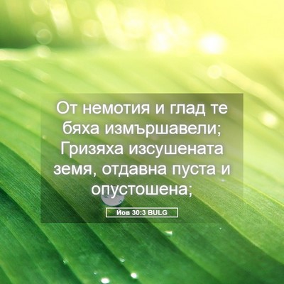 Picture 05 - Йов 30:3 BULG - От немотия и глад те бяха - Bible Verse Picture