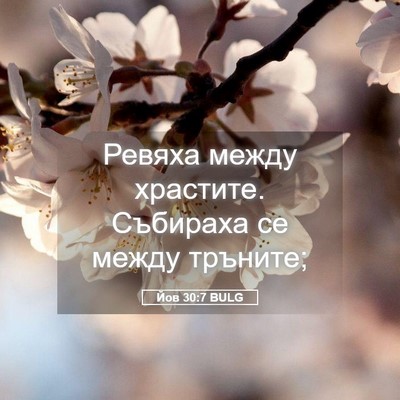 Picture 05 - Йов 30:7 BULG - Ревяха между храстите. - Bible Verse Picture