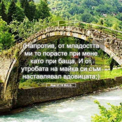 Picture 05 - Йов 31:18 BULG - (Напротив, от младостта ми - Bible Verse Picture