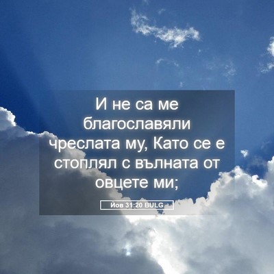 Picture 05 - Йов 31:20 BULG - И не са ме благославяли - Bible Verse Picture