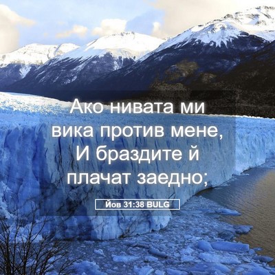 Picture 05 - Йов 31:38 BULG - Ако нивата ми вика против - Bible Verse Picture