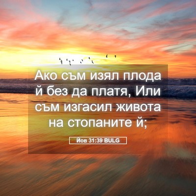 Picture 05 - Йов 31:39 BULG - Ако съм изял плода й без да - Bible Verse Picture
