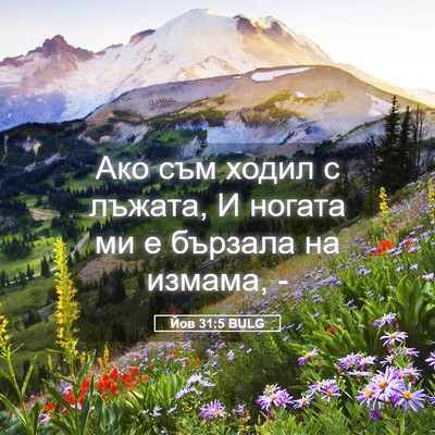 Picture 05 - Йов 31:5 BULG - Ако съм ходил с лъжата, И - Bible Verse Picture