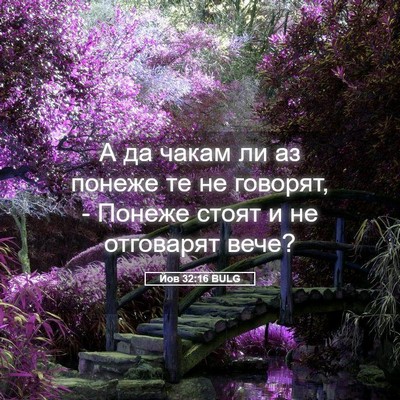 Picture 05 - Йов 32:16 BULG - А да чакам ли аз понеже те - Bible Verse Picture