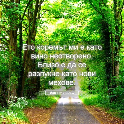 Picture 05 - Йов 32:19 BULG - Ето коремът ми е като вино - Bible Verse Picture