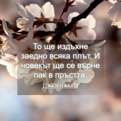 Picture 05 - Йов 34:15 BULG - То ще издъхне заедно всяка - Bible Verse Picture