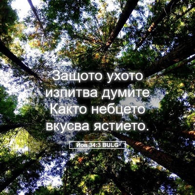 Picture 05 - Йов 34:3 BULG - Защото ухото изпитва - Bible Verse Picture