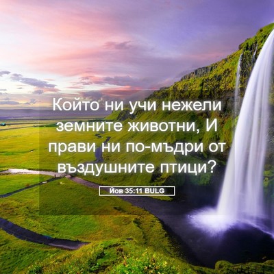 Picture 05 - Йов 35:11 BULG - Който ни учи нежели - Bible Verse Picture