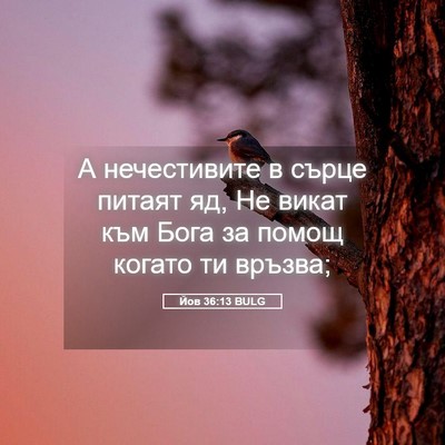 Picture 05 - Йов 36:13 BULG - А нечестивите в сърце - Bible Verse Picture