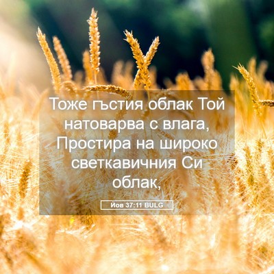 Picture 05 - Йов 37:11 BULG - Тоже гъстия облак Той - Bible Verse Picture