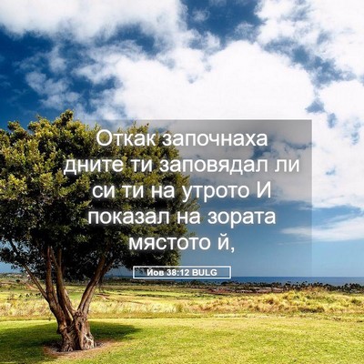 Picture 05 - Йов 38:12 BULG - Откак започнаха дните ти - Bible Verse Picture
