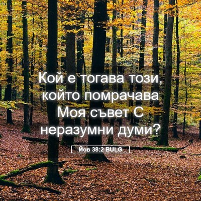 Picture 05 - Йов 38:2 BULG - Кой е тогава този, който - Bible Verse Picture