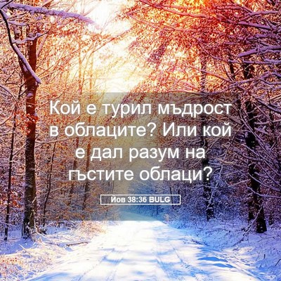 Picture 05 - Йов 38:36 BULG - Кой е турил мъдрост в - Bible Verse Picture
