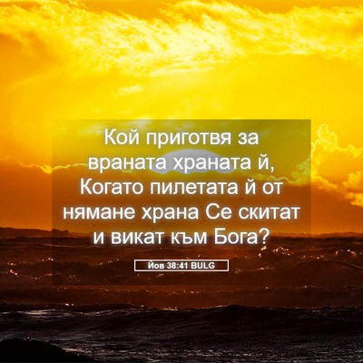 Picture 05 - Йов 38:41 BULG - Кой приготвя за враната - Bible Verse Picture