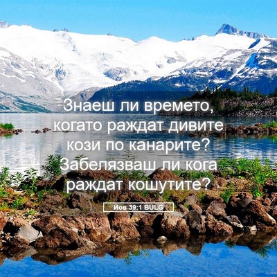 Picture 05 - Йов 39:1 BULG - Знаеш ли времето, когато - Bible Verse Picture