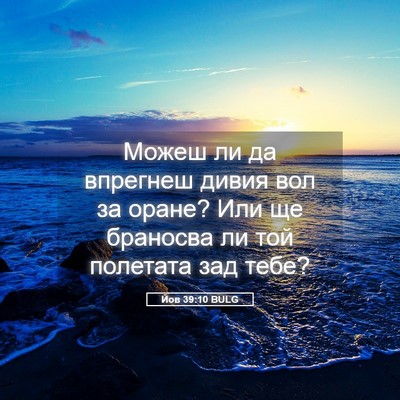 Picture 05 - Йов 39:10 BULG - Можеш ли да впрегнеш дивия - Bible Verse Picture