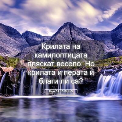 Picture 05 - Йов 39:13 BULG - Крилата на камилоптицата - Bible Verse Picture