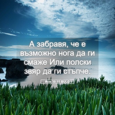Picture 05 - Йов 39:15 BULG - А забравя, че е възможно - Bible Verse Picture