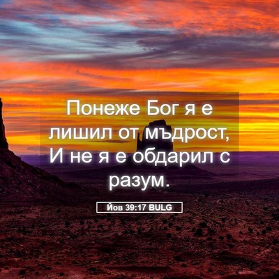 Picture 05 - Йов 39:17 BULG - Понеже Бог я е лишил от - Bible Verse Picture