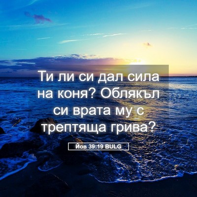 Picture 05 - Йов 39:19 BULG - Ти ли си дал сила на коня? - Bible Verse Picture