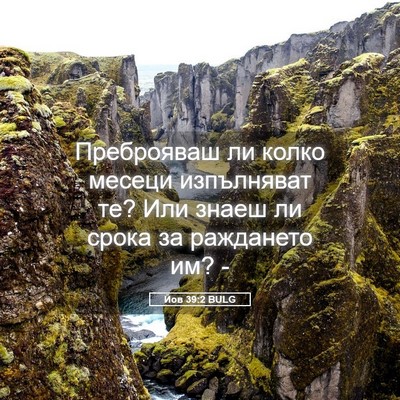 Picture 05 - Йов 39:2 BULG - Преброяваш ли колко месеци - Bible Verse Picture