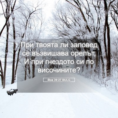 Picture 05 - Йов 39:27 BULG - При твоята ли заповед се - Bible Verse Picture