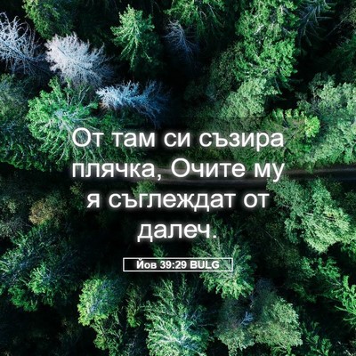 Picture 05 - Йов 39:29 BULG - От там си съзира плячка, - Bible Verse Picture