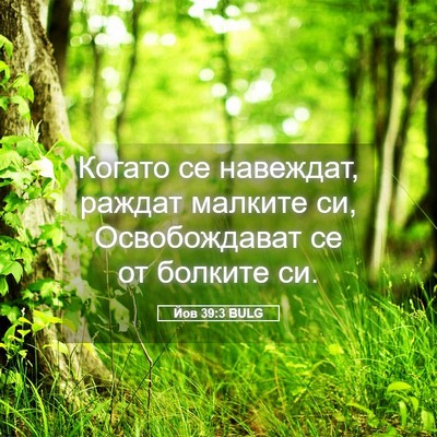Picture 05 - Йов 39:3 BULG - Когато се навеждат, раждат - Bible Verse Picture