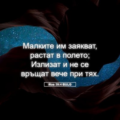 Picture 05 - Йов 39:4 BULG - Малките им заякват, растат - Bible Verse Picture