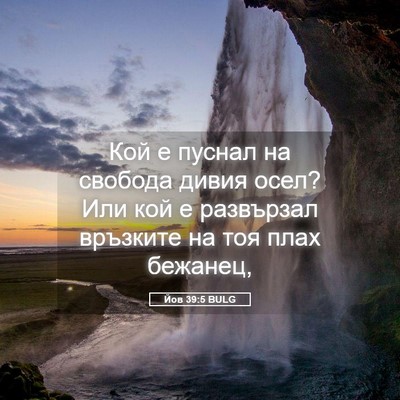 Picture 05 - Йов 39:5 BULG - Кой е пуснал на свобода - Bible Verse Picture