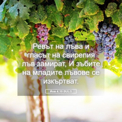 Picture 05 - Йов 4:10 BULG - Ревът на лъва и гласът на - Bible Verse Picture