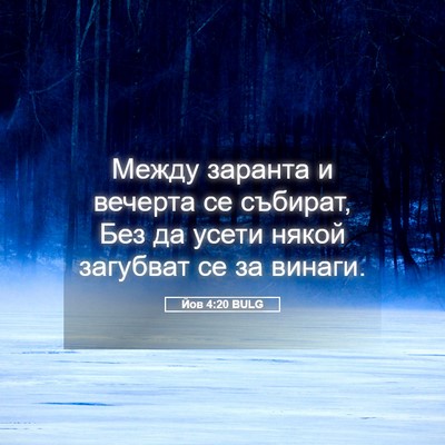 Picture 05 - Йов 4:20 BULG - Между заранта и вечерта се - Bible Verse Picture