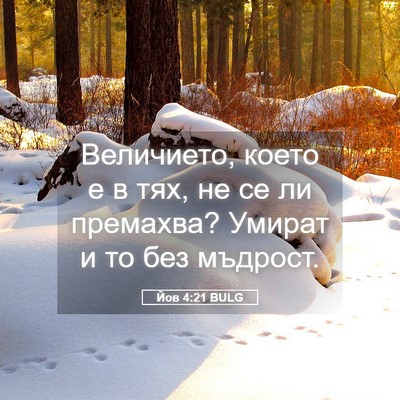 Picture 05 - Йов 4:21 BULG - Величието, което е в тях, не - Bible Verse Picture