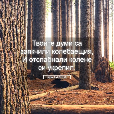 Picture 05 - Йов 4:4 BULG - Твоите думи са заякчили - Bible Verse Picture