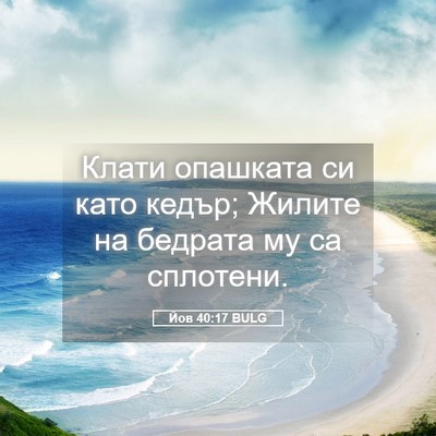 Picture 05 - Йов 40:17 BULG - Клати опашката си като - Bible Verse Picture