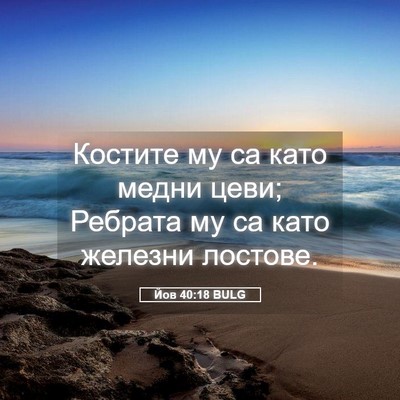 Picture 05 - Йов 40:18 BULG - Костите му са като медни - Bible Verse Picture